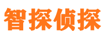 东洲侦探